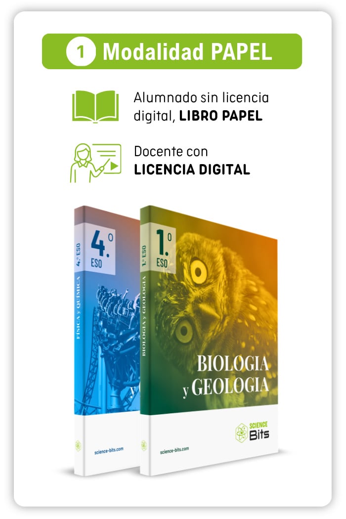 Modalidad en papel